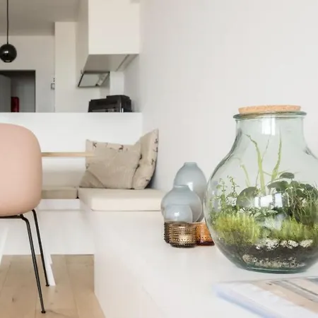 Dedijk By Bloss * Ostenda