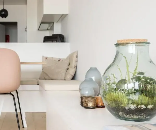 Dedijk By Bloss * 오스텐드